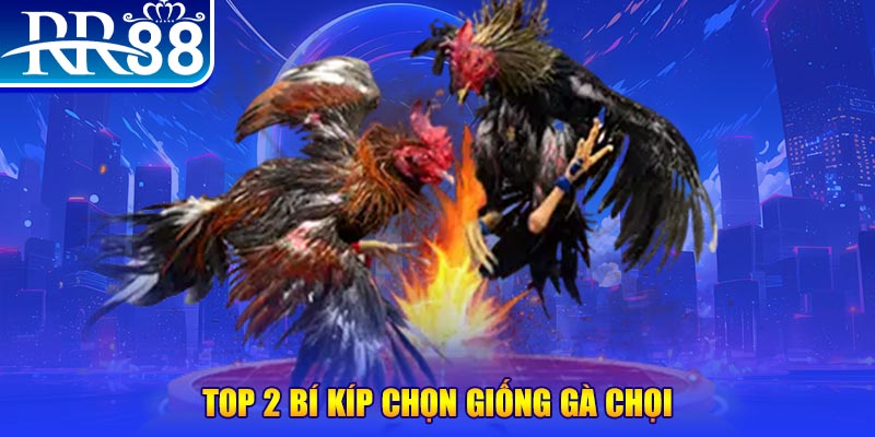 mcw77 sòng bạc link mới