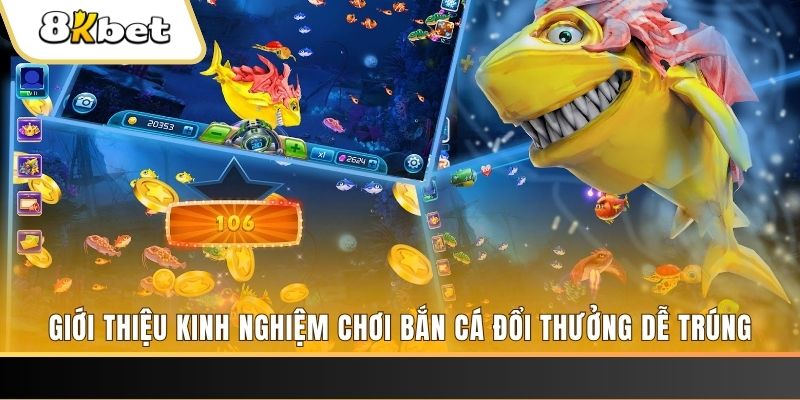 bet888 casino kèo nhà cái