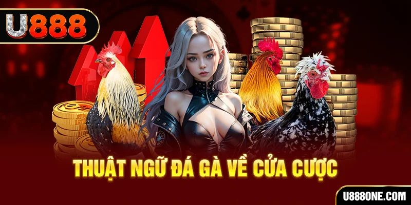 win 777 sòng bạc là gì