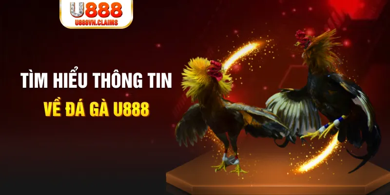 s8bet sòng bạc kèo nhà cái
