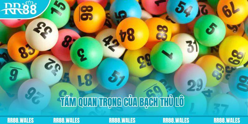 online betting casino link mới