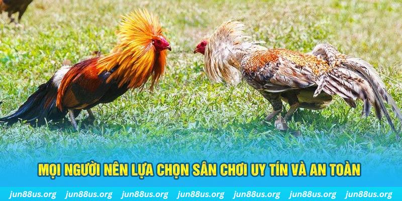 mcw777 sòng bạc link mới