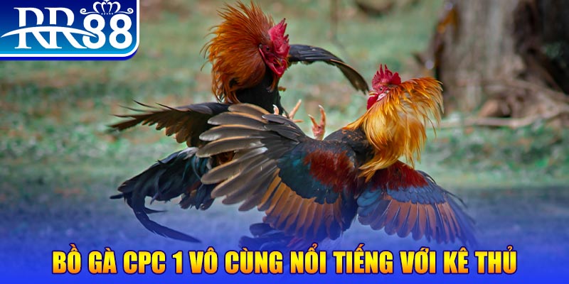 w88club casino kèo nhà cái