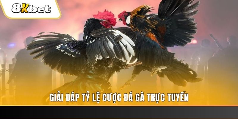 hj88 sòng bạc Sòng bạc