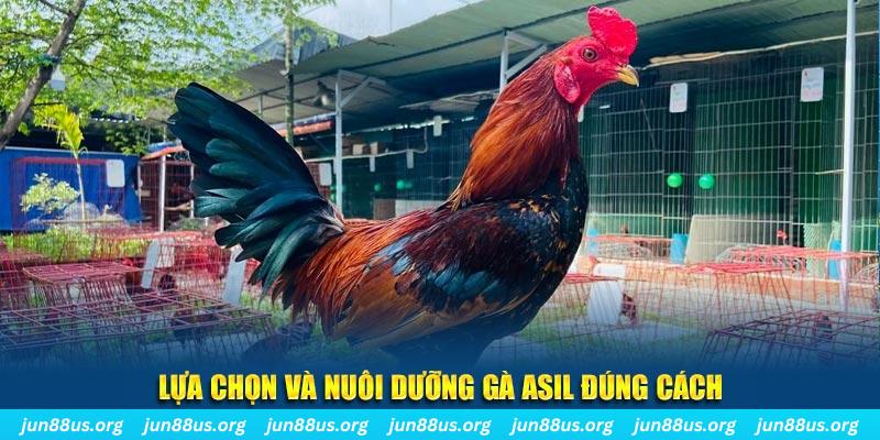 w388 bet casino Đăng nhập
