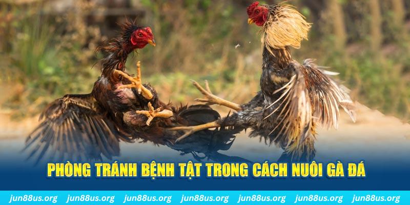 sv88 tv casino LINK MỚI